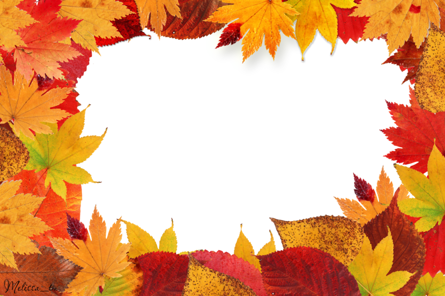 frame png autumn leaves table images @transparentpng.com