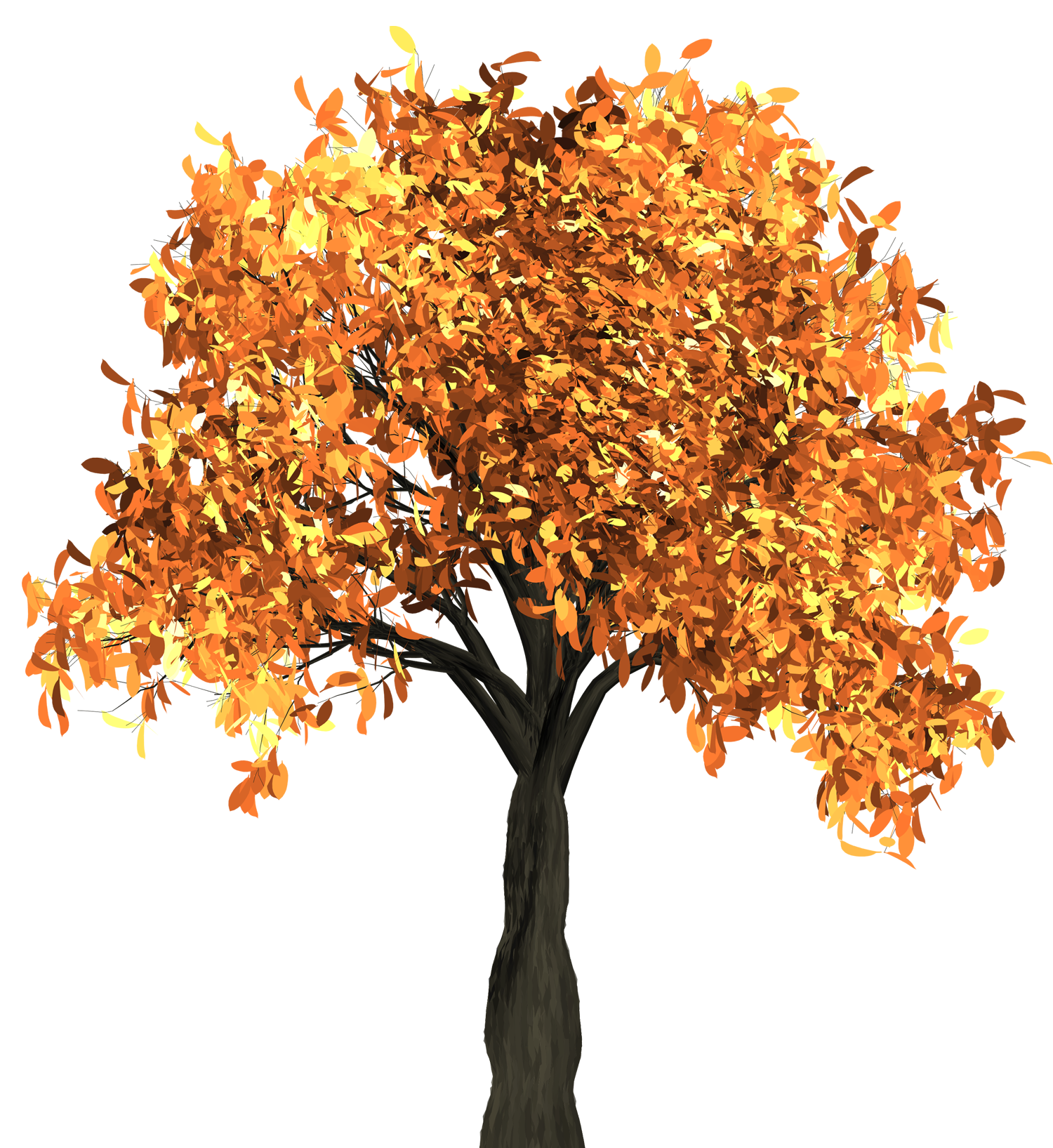 maple tree png @transparentpng.com