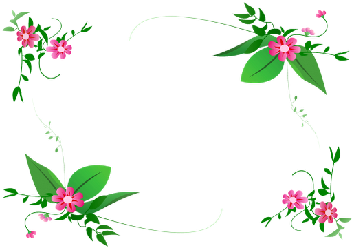 flower border vector png png @transparentpng.com