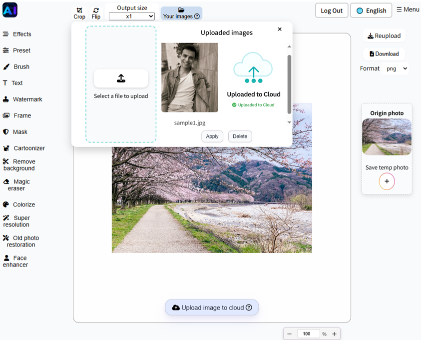 introduction feature 1 image