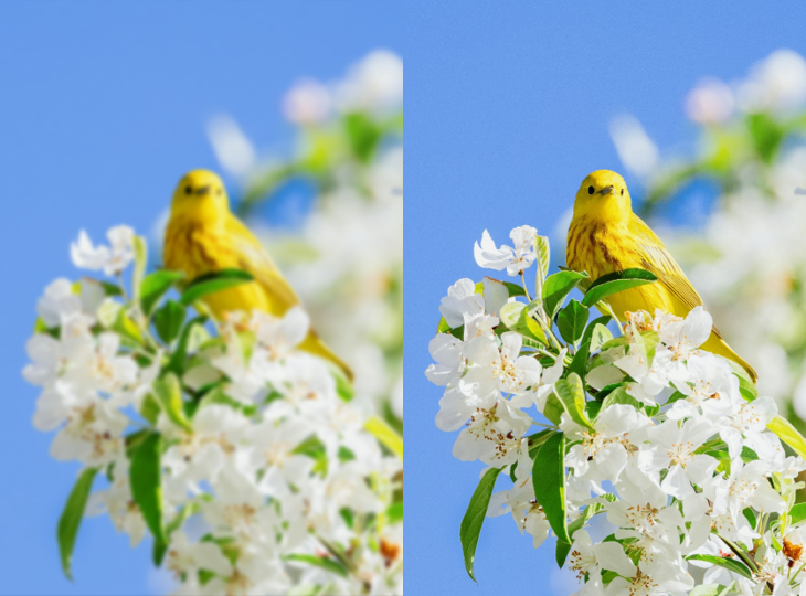 background remove image