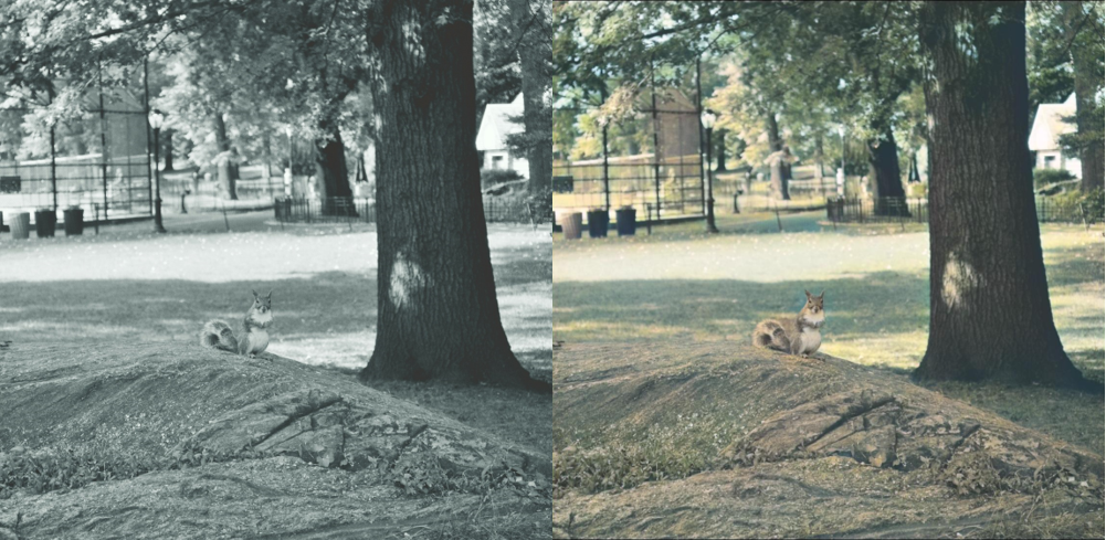 change shadow Image